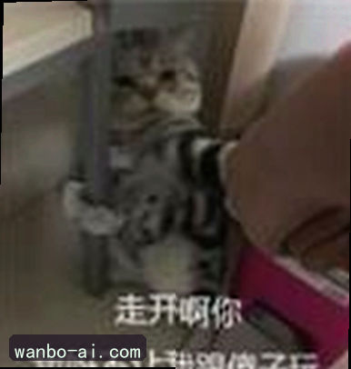 陈芳